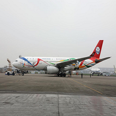 First A350 Plane Painted With Chengdu 2021 FISU Games Elements Makes Debut in Chengdu