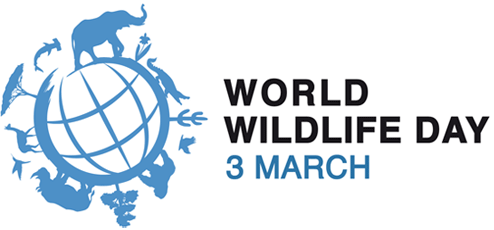 The Global World Wildlife Day Celebrations Is Held on 3 March 2022
