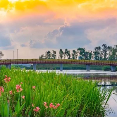 Seven Greenways for Your Spring Cycling in Chengdu