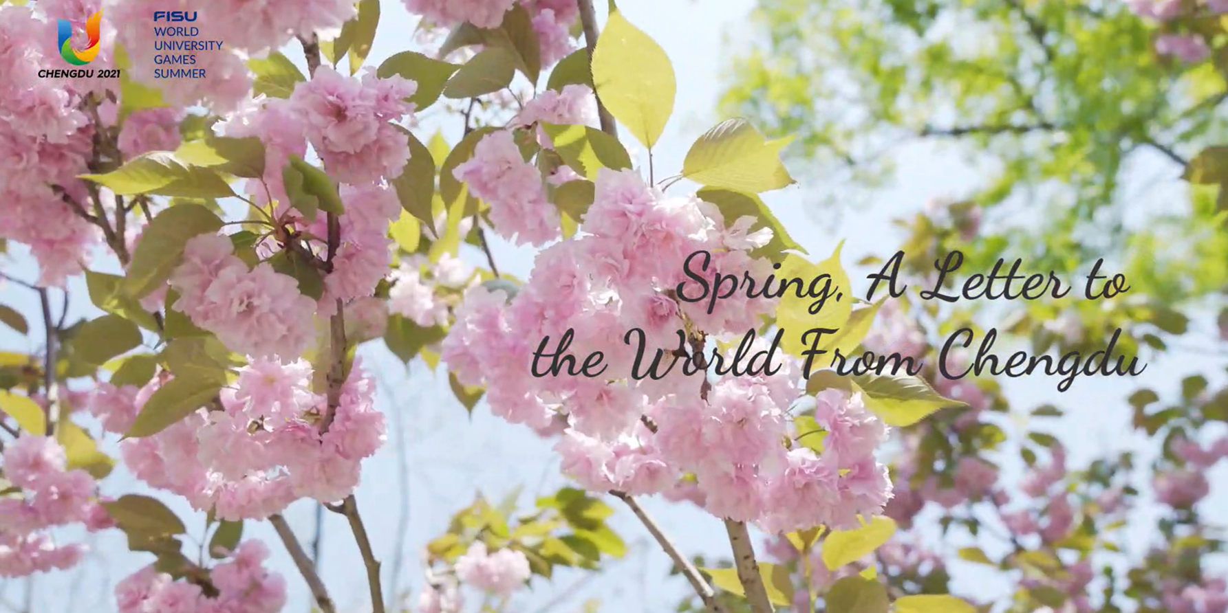 Spring, A Letter to the World From Chengdu